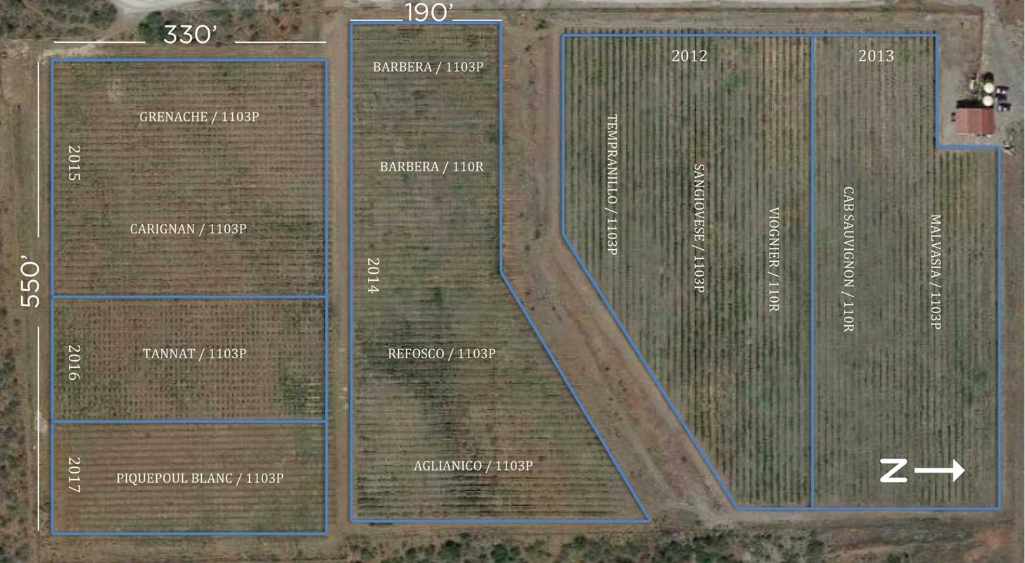 SWC_Vineyard_VerdeValley800 Vineyard Verde Valley