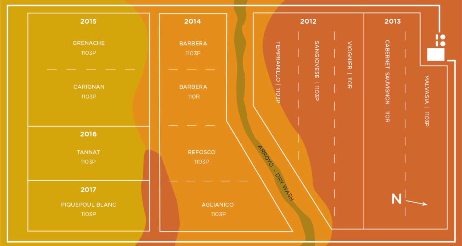 TEACHING-VINEYARD---SOIL-CHARACTERISTICS-AND-ANALYSIScrop Vineyard Soil Characteristics