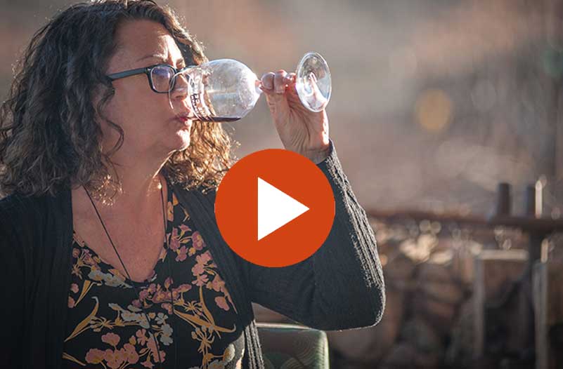 vid800b Southwest Wine Center Wine tasting event